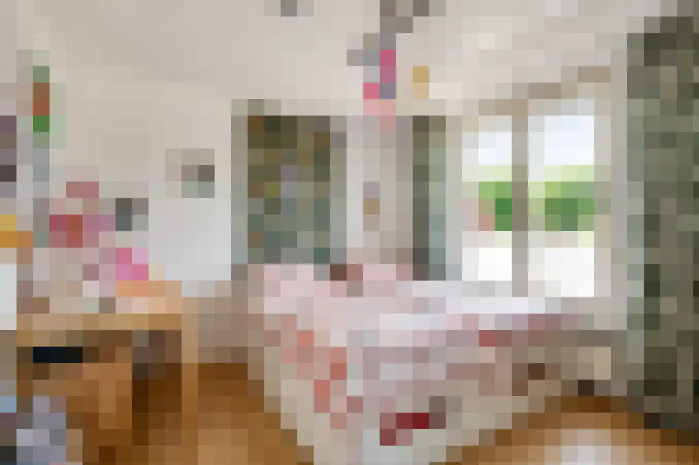 Past Zegersstraat 5 Grubbenvorst thumbnail 38