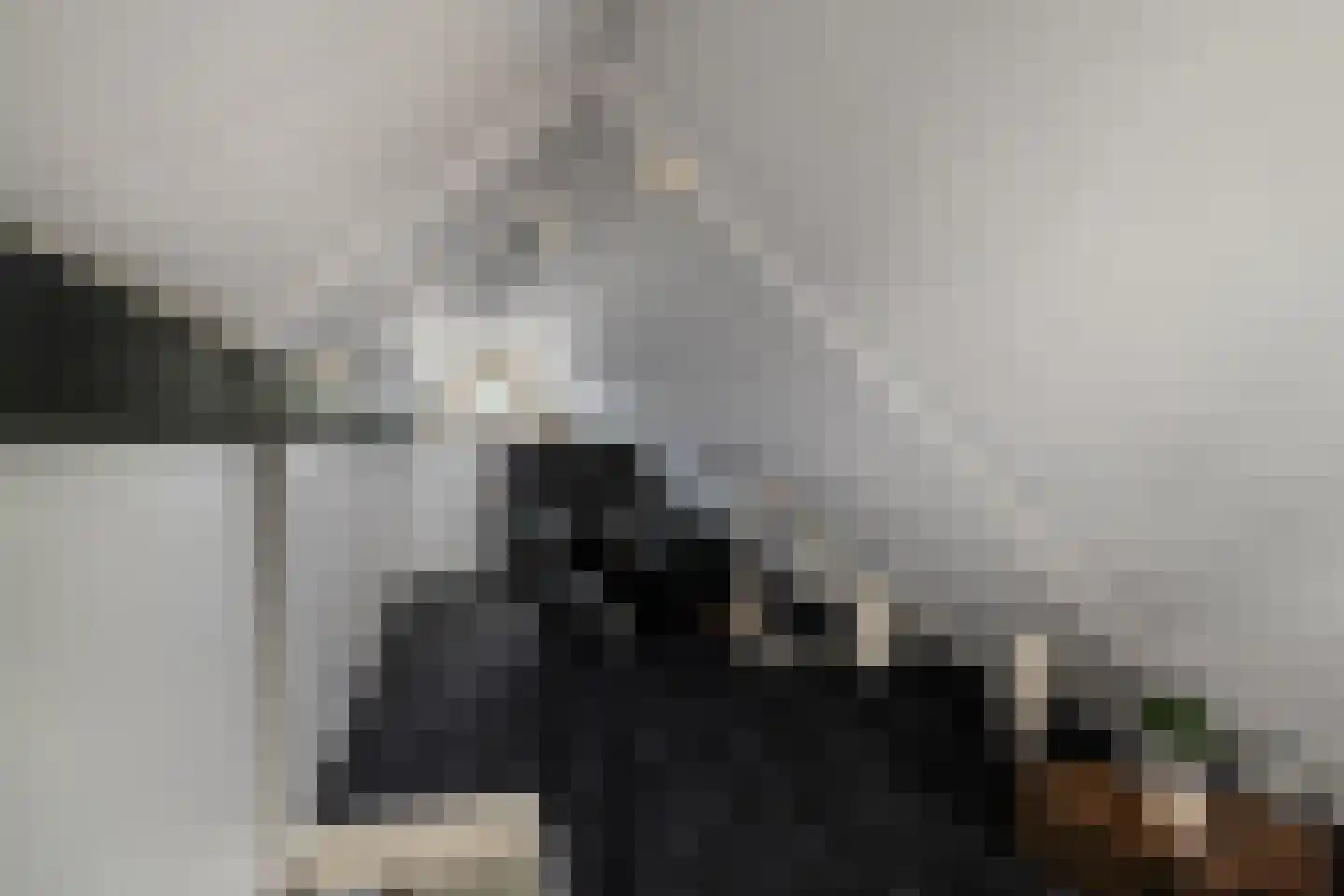 Pastel 54 Capelle aan den IJssel thumbnail 28