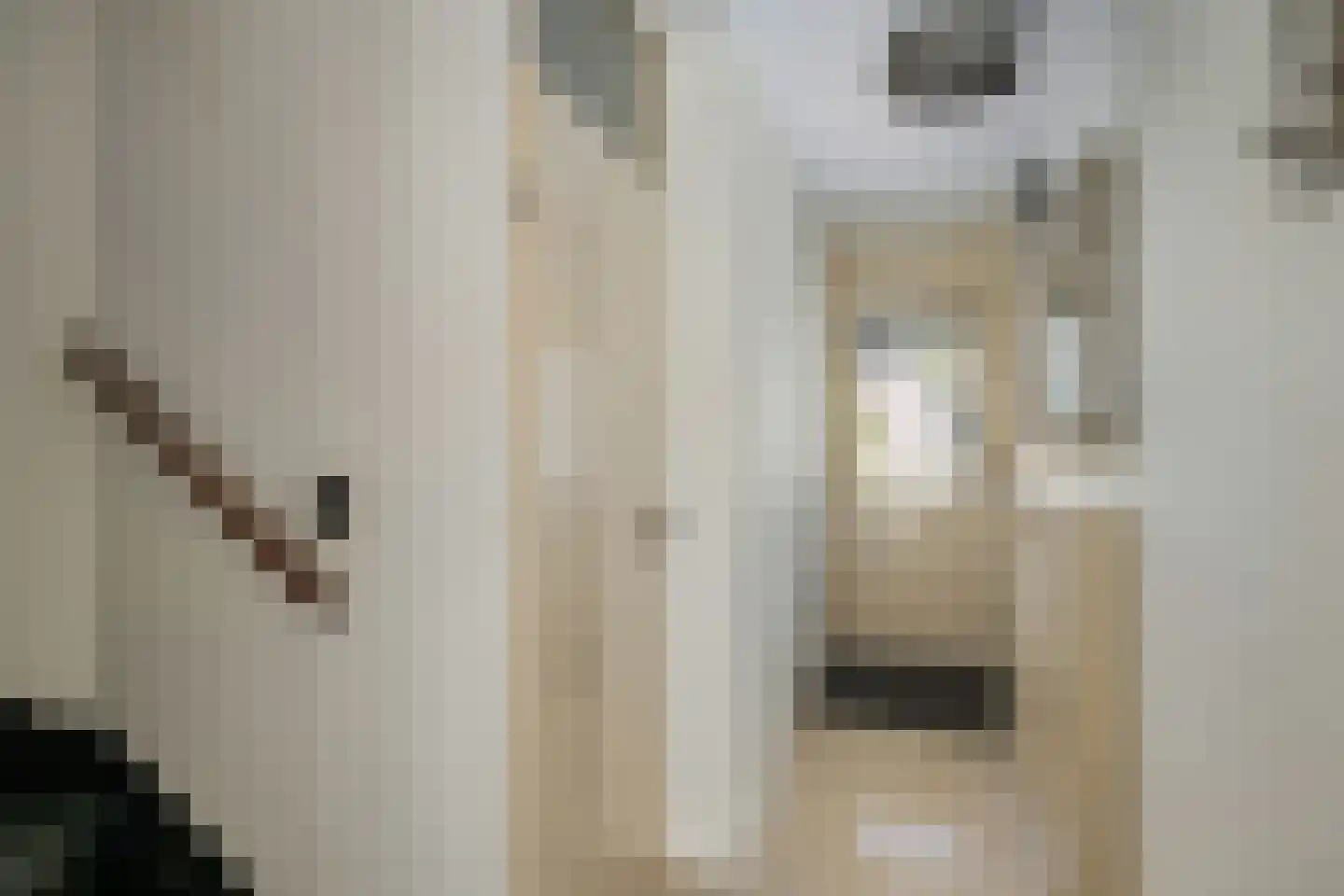 Pastel 54 Capelle aan den IJssel thumbnail 30