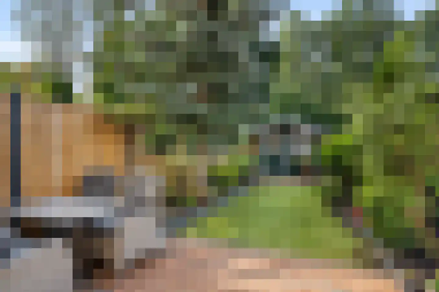 Pastel 54 Capelle aan den IJssel thumbnail 6