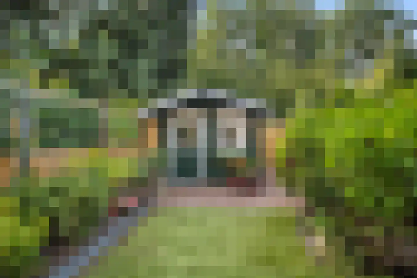 Pastel 54 Capelle aan den IJssel thumbnail 8