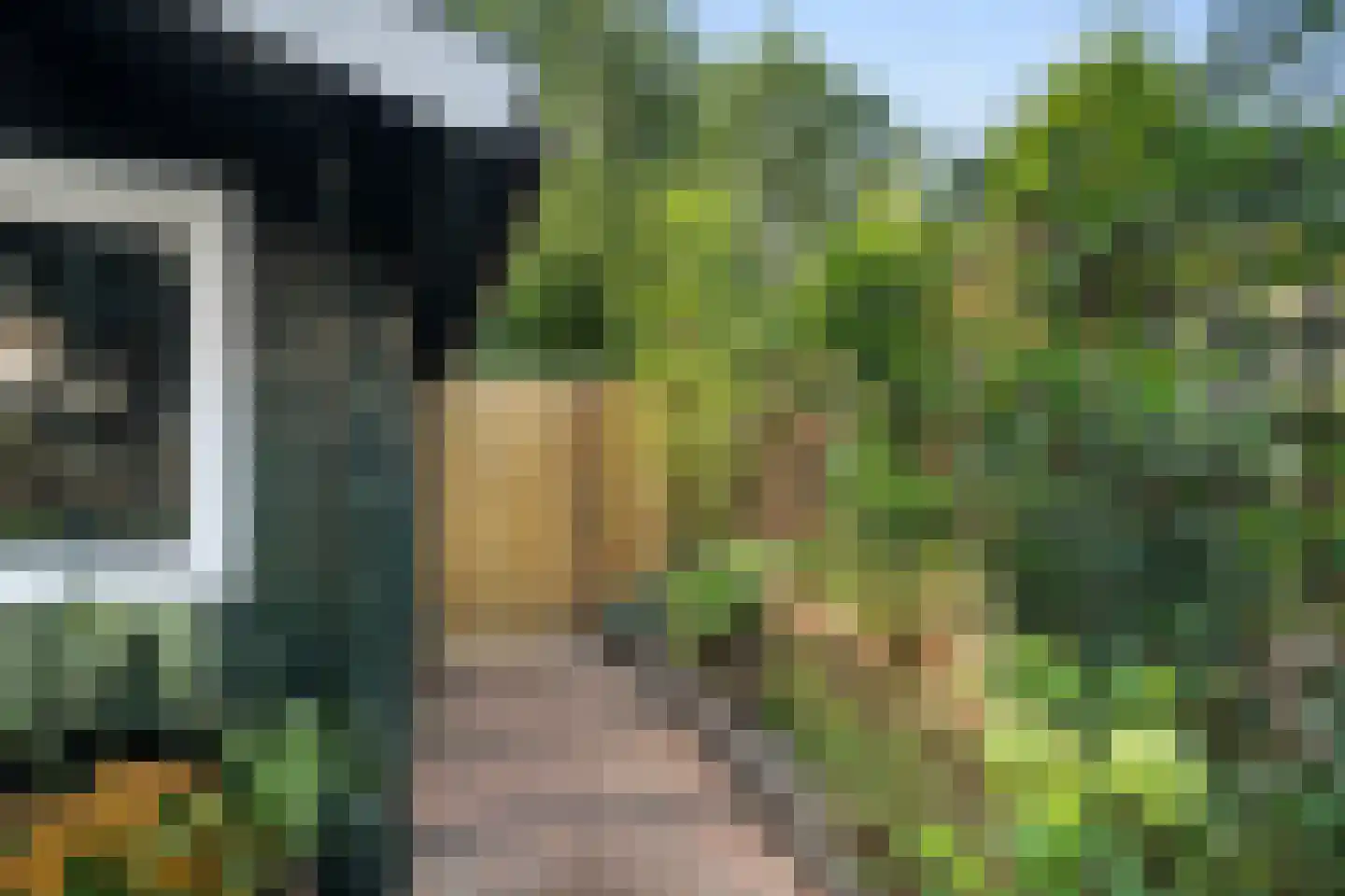 Pastel 54 Capelle aan den IJssel thumbnail 9
