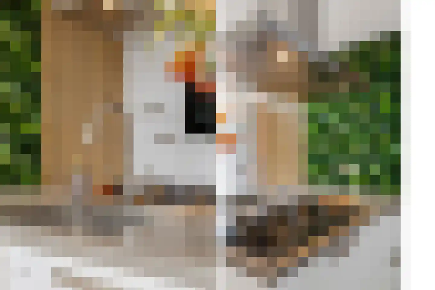 Pastelstraat 122 Almere thumbnail 19