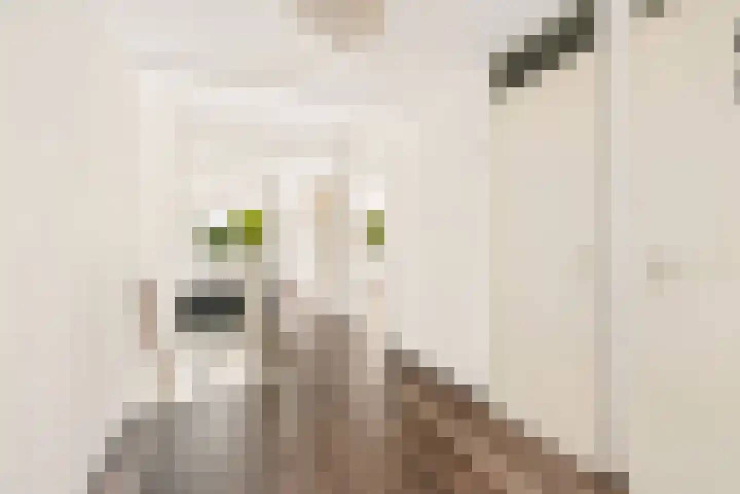 Pastelstraat 125 Almere thumbnail 24