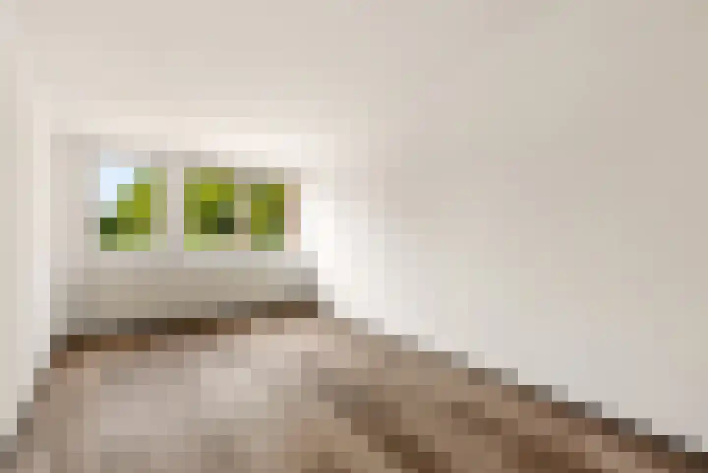 Pastelstraat 125 Almere thumbnail 25