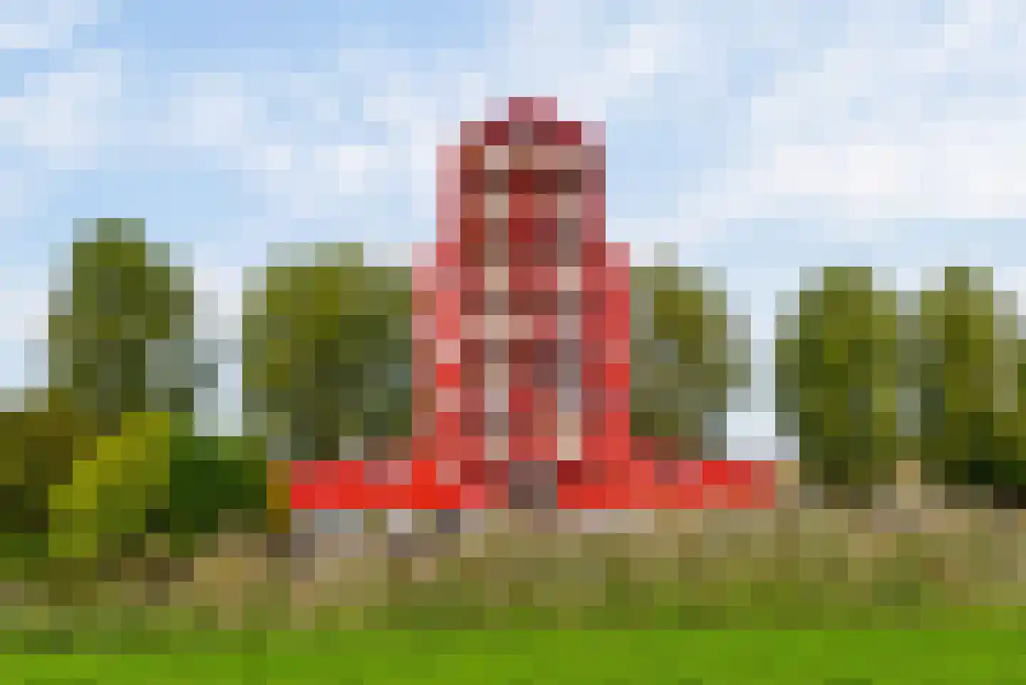 Pastelstraat 125 Almere thumbnail 45