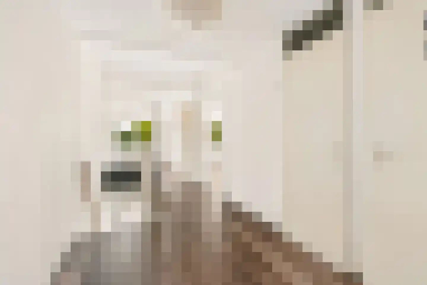 Pastelstraat 125 Almere thumbnail 9