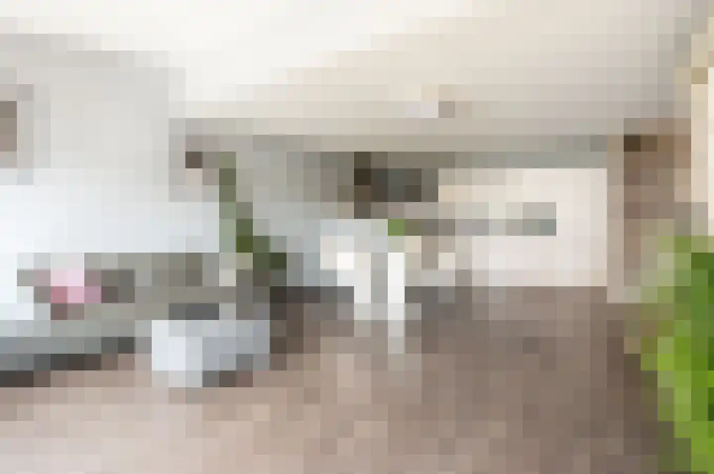 Pastelstraat 13 Almere thumbnail 25