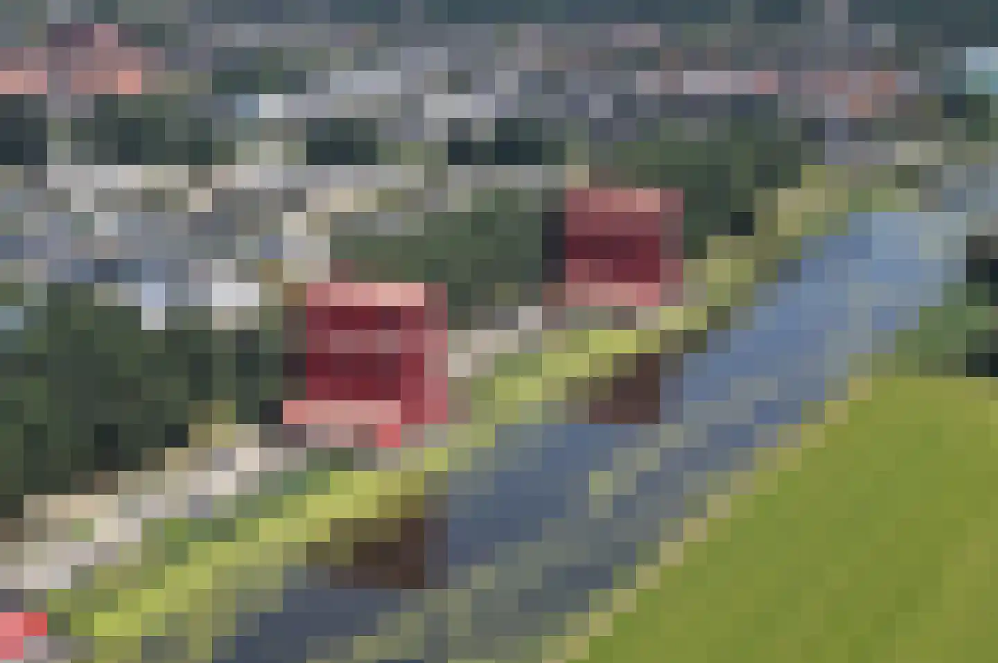 Pastelstraat 21 Almere thumbnail 37