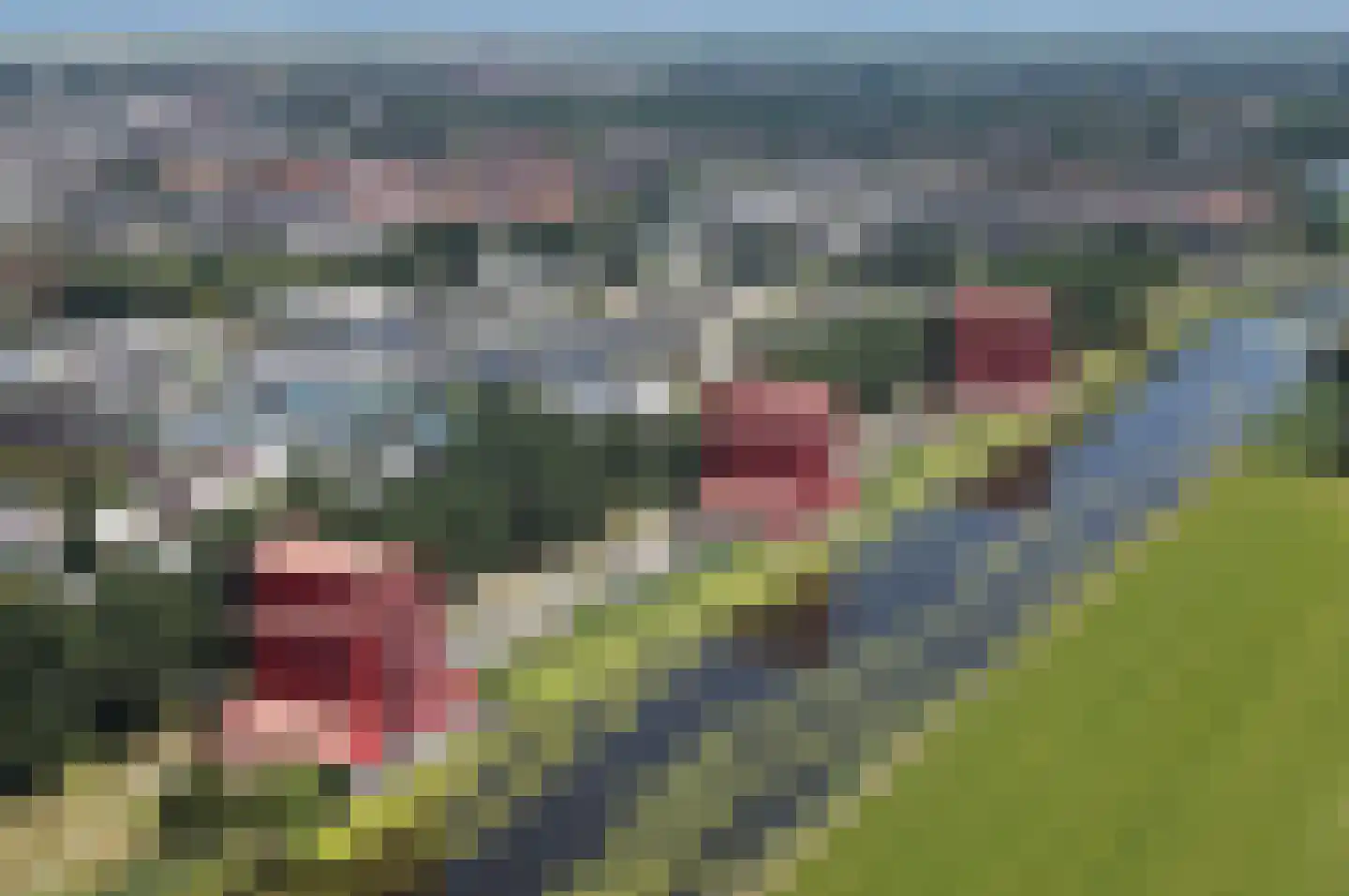 Pastelstraat 21 Almere thumbnail 38