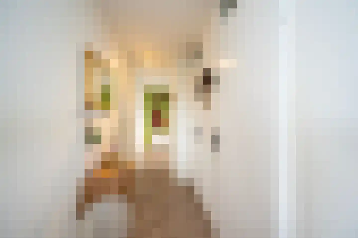 Pastelstraat 21 Almere thumbnail 8