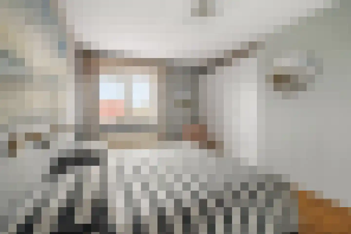 Pastelstraat 49 Almere thumbnail 20