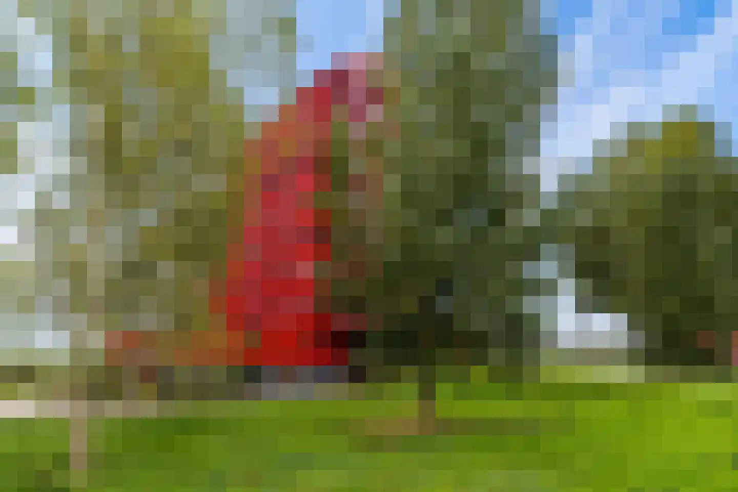 Pastelstraat 57 Almere thumbnail 38
