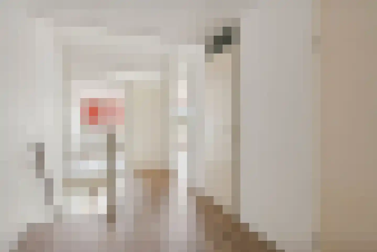Pastelstraat 61 Almere thumbnail 17