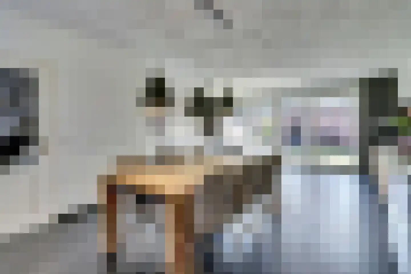 Pasternaklaan 27 Vlijmen thumbnail 12