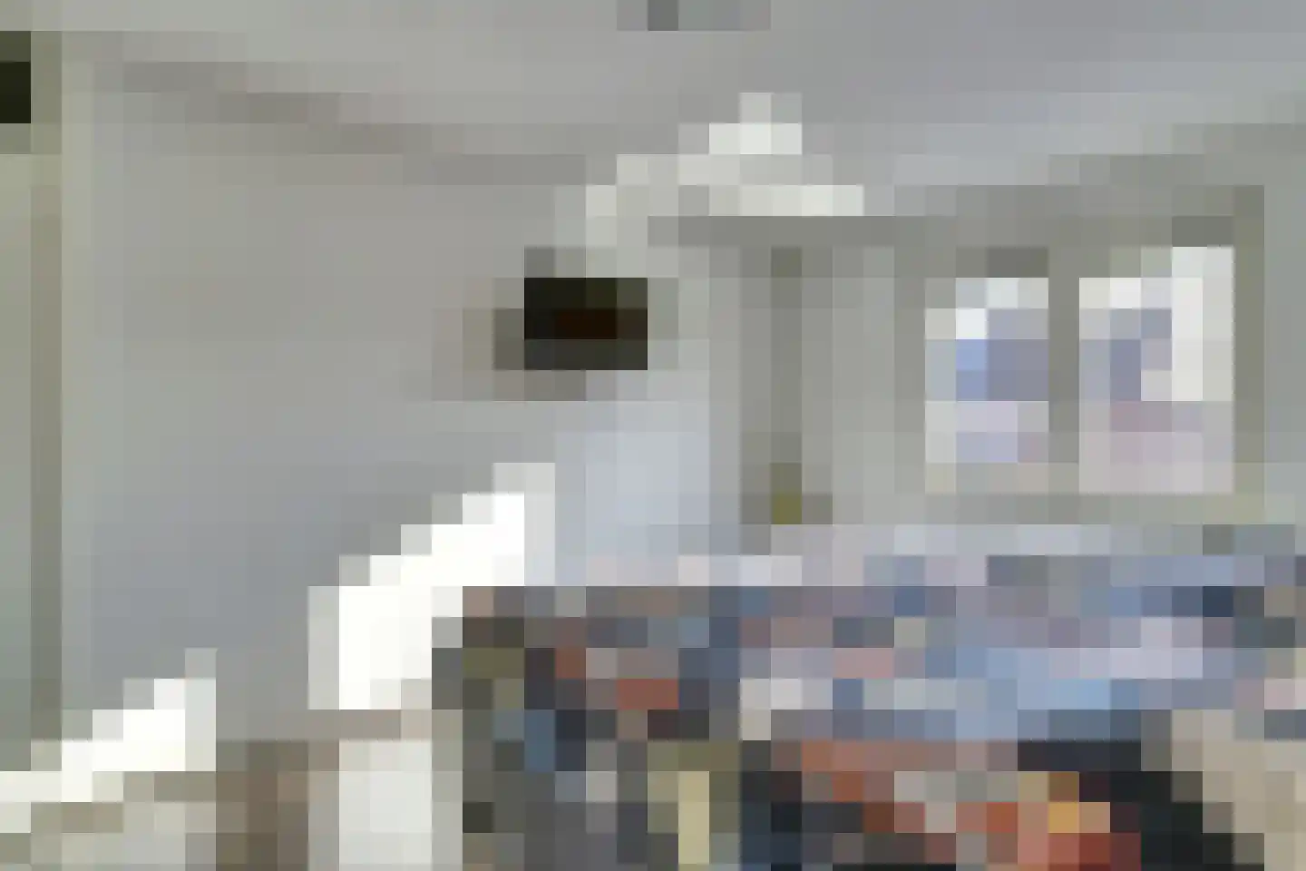 Pasternaklaan 27 Vlijmen thumbnail 16