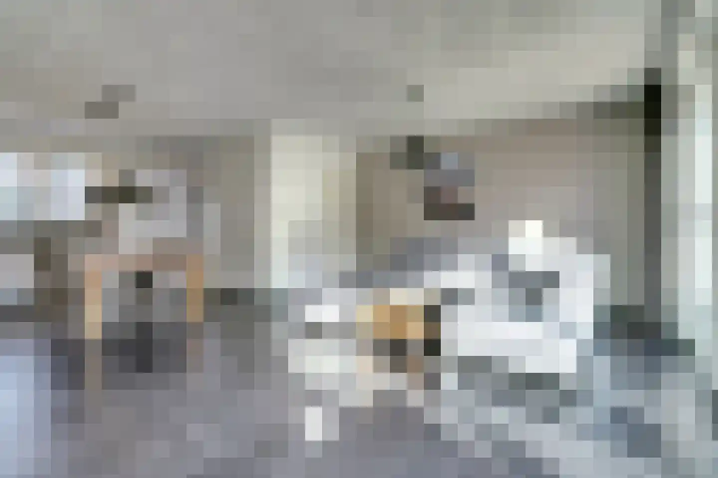 Pasternaklaan 27 Vlijmen foto 2