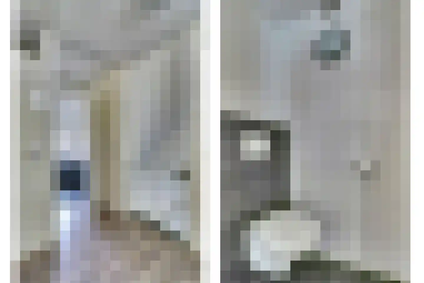 Pasternaklaan 27 Vlijmen thumbnail 23