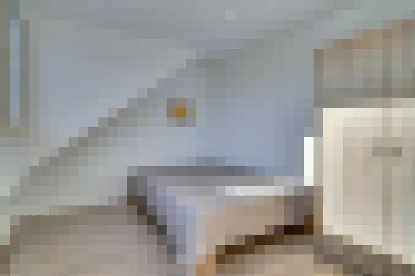 Pasternaklaan 27 Vlijmen thumbnail 25