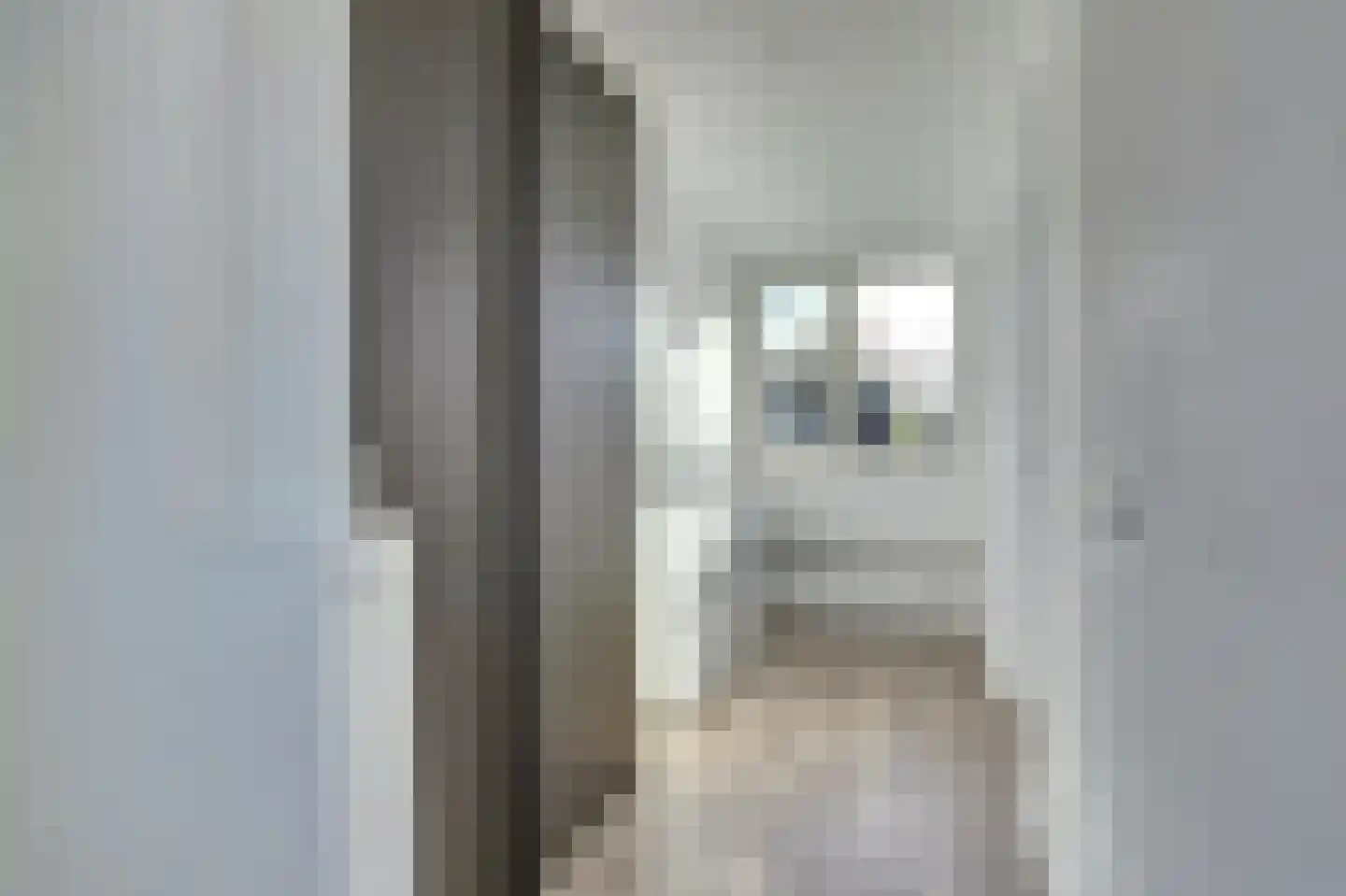 Pasternaklaan 27 Vlijmen thumbnail 29