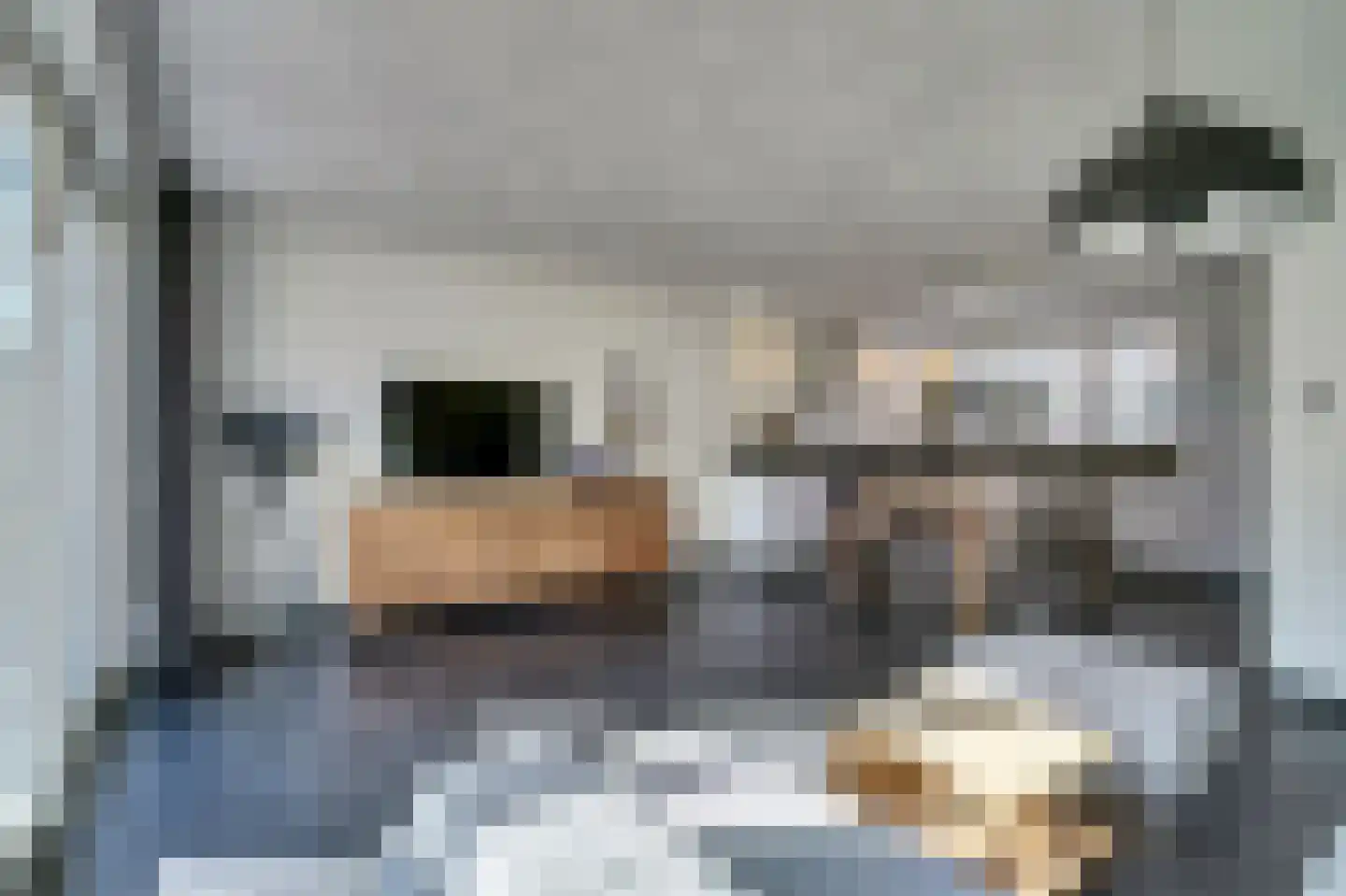 Pasternaklaan 27 Vlijmen foto 3