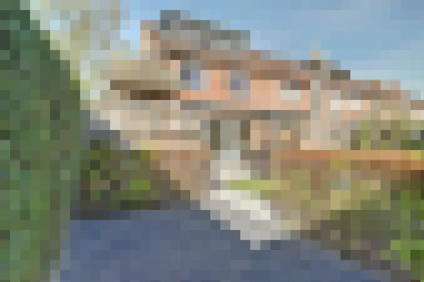 Pasternaklaan 27 Vlijmen thumbnail 35