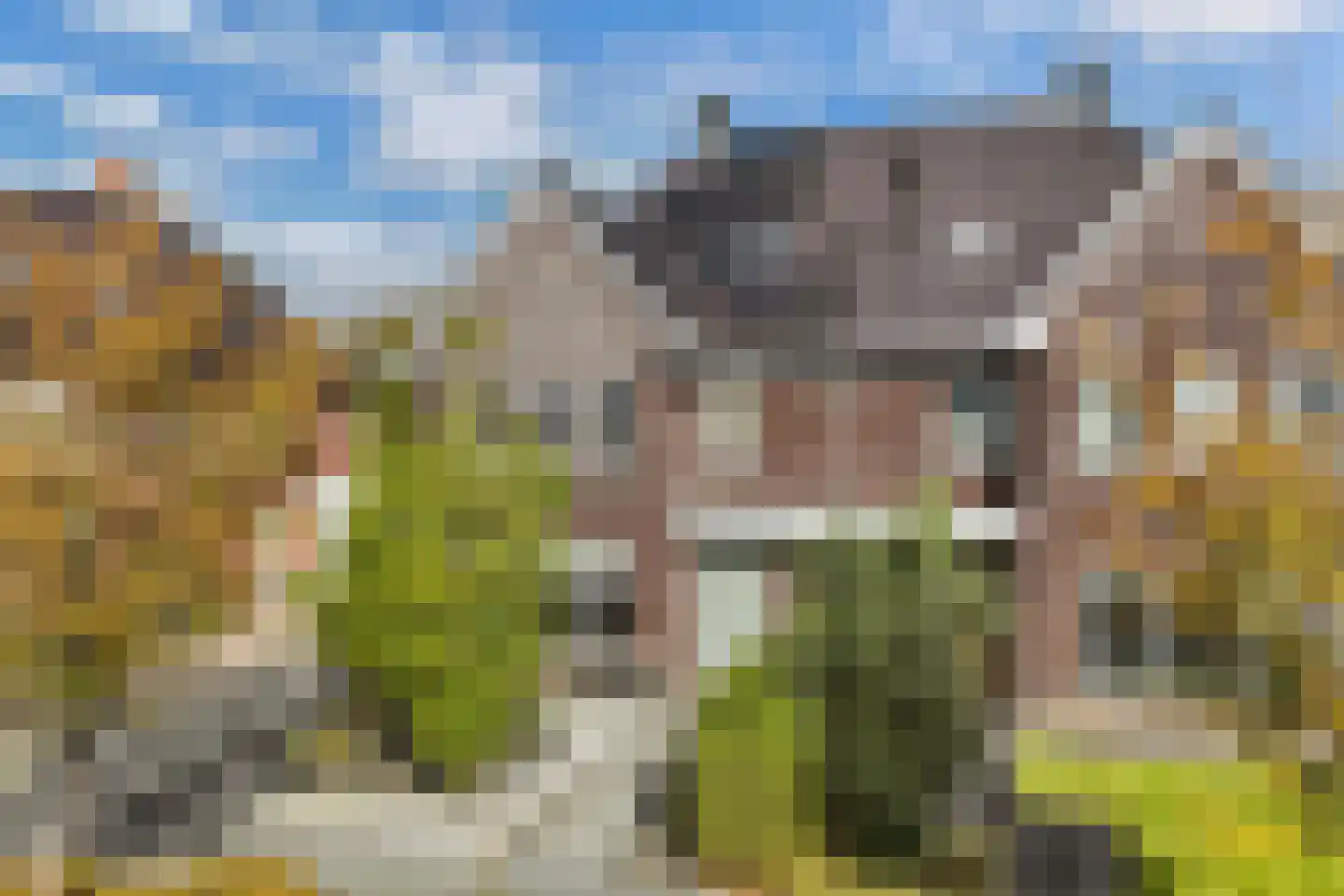 Pasteurhage 15 Emmeloord thumbnail 10