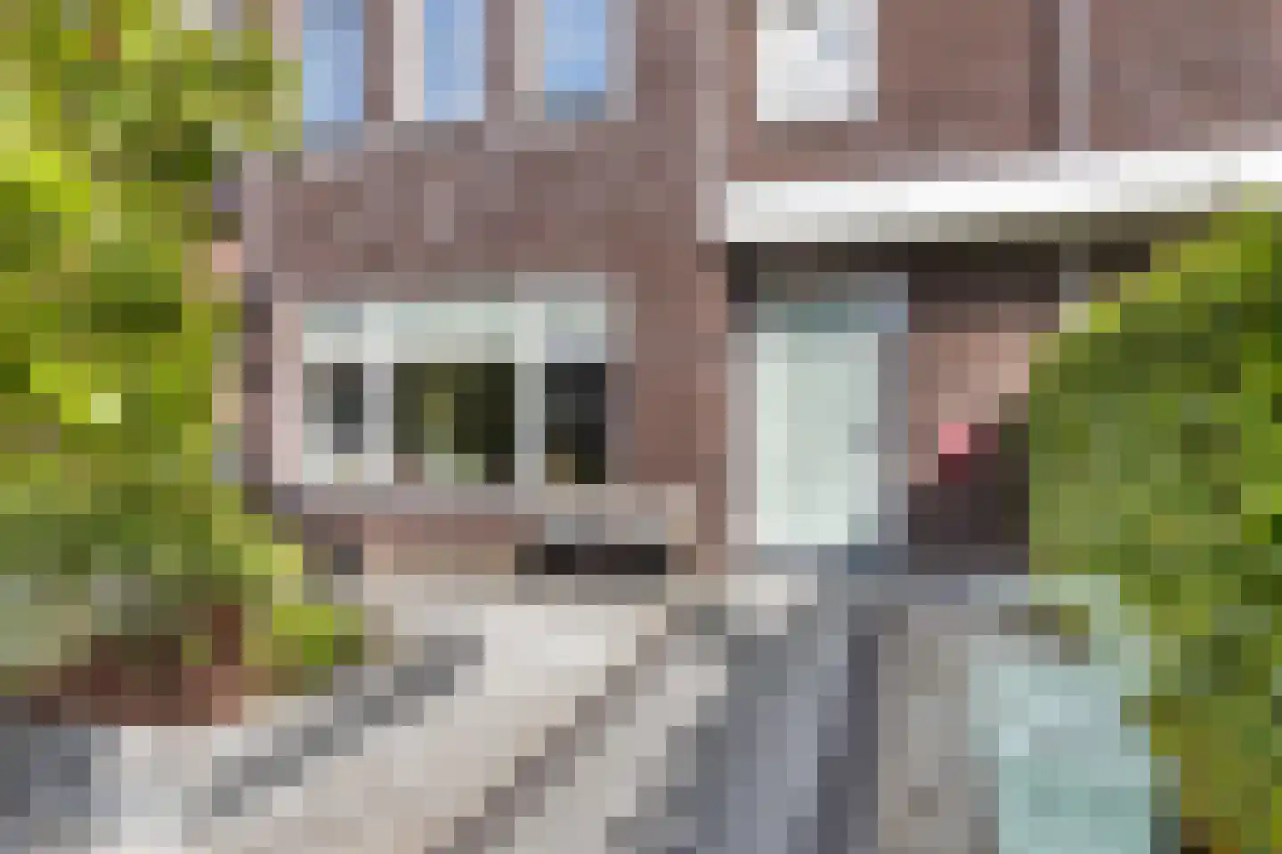 Pasteurhage 15 Emmeloord thumbnail 15