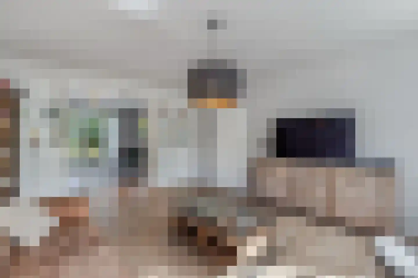Pasteurhage 15 Emmeloord thumbnail 22