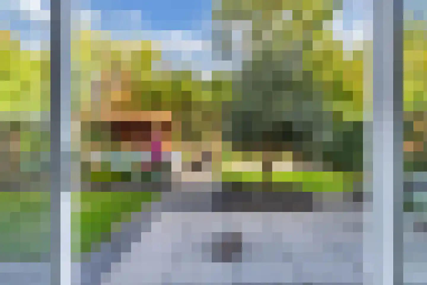Pasteurhage 15 Emmeloord thumbnail 27