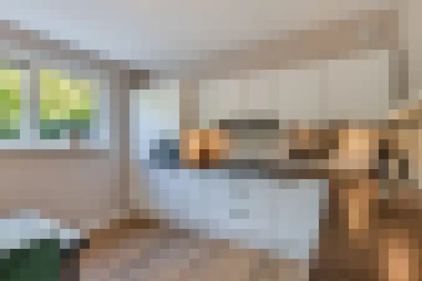 Pasteurhage 15 Emmeloord thumbnail 31