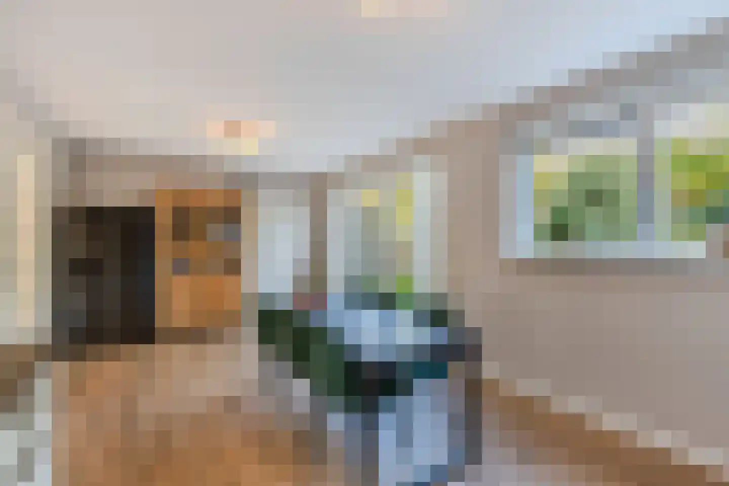 Pasteurhage 15 Emmeloord thumbnail 32