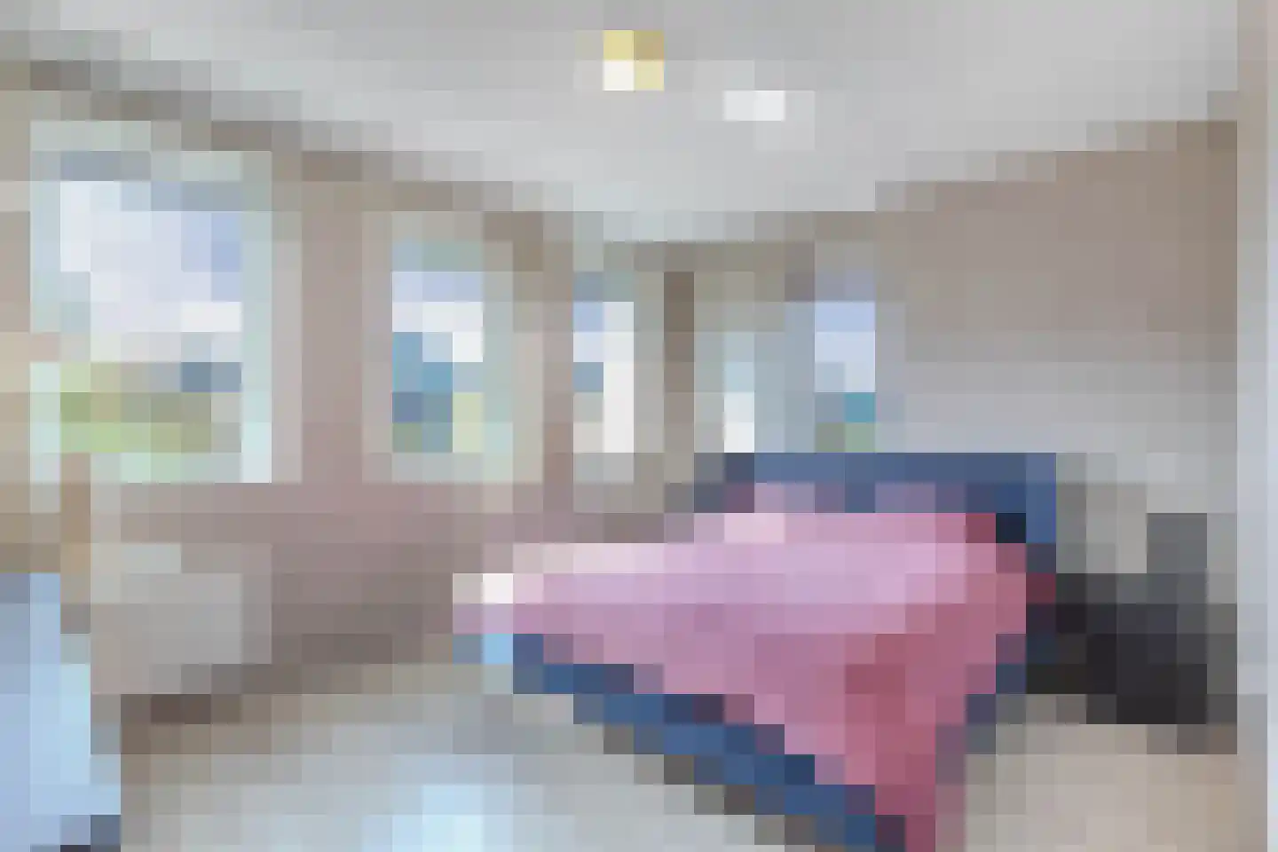 Pasteurhage 15 Emmeloord thumbnail 34