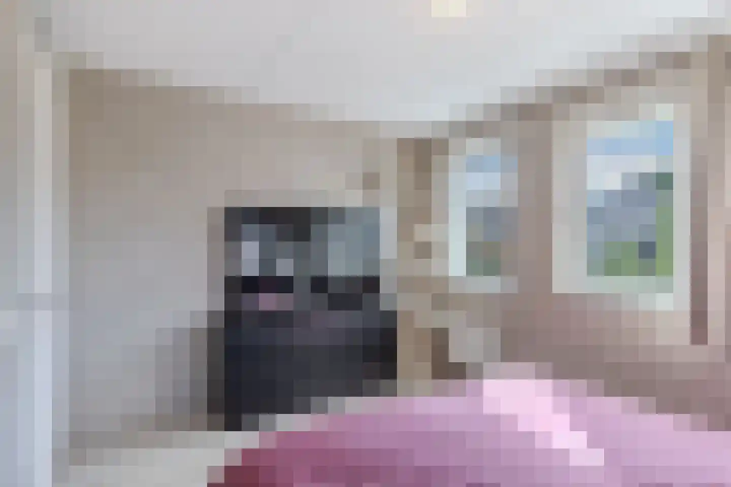 Pasteurhage 15 Emmeloord thumbnail 35