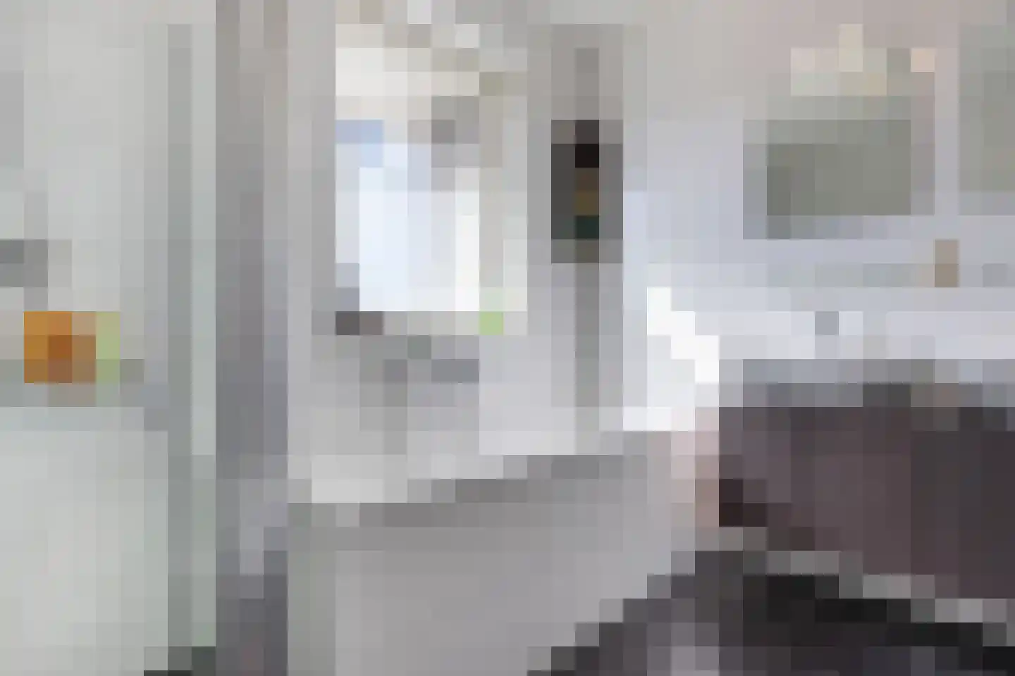 Pasteurhage 15 Emmeloord thumbnail 42