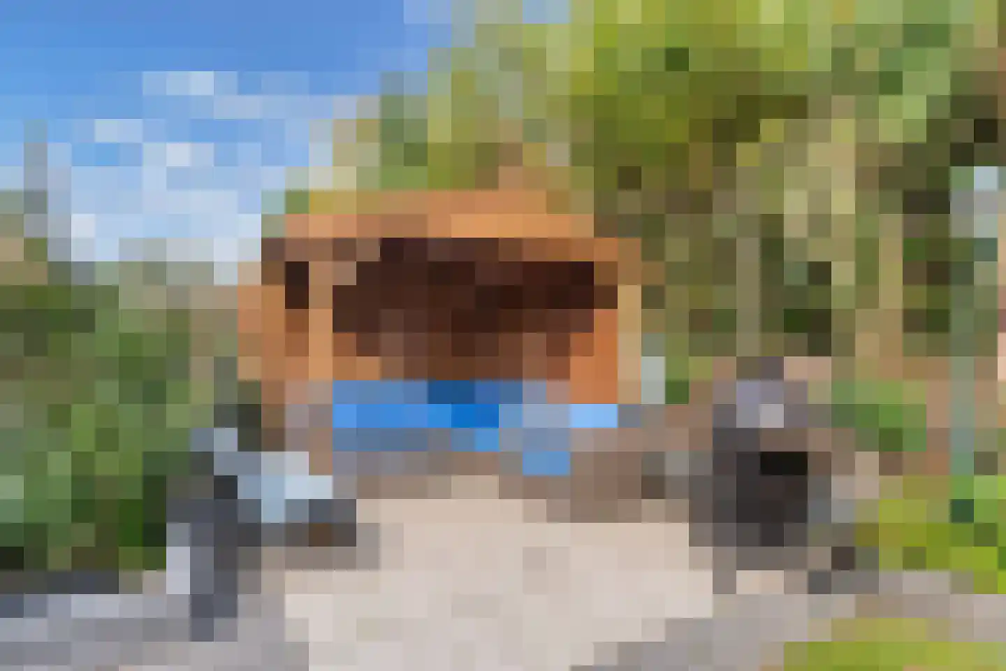 Pasteurhage 15 Emmeloord thumbnail 54