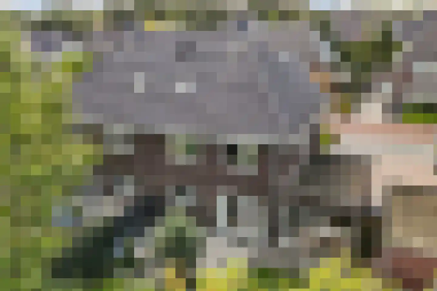 Pasteurhage 15 Emmeloord thumbnail 56
