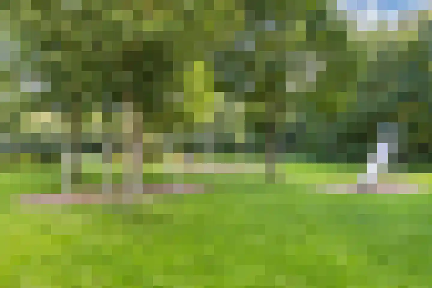 Pasteurhage 15 Emmeloord thumbnail 59