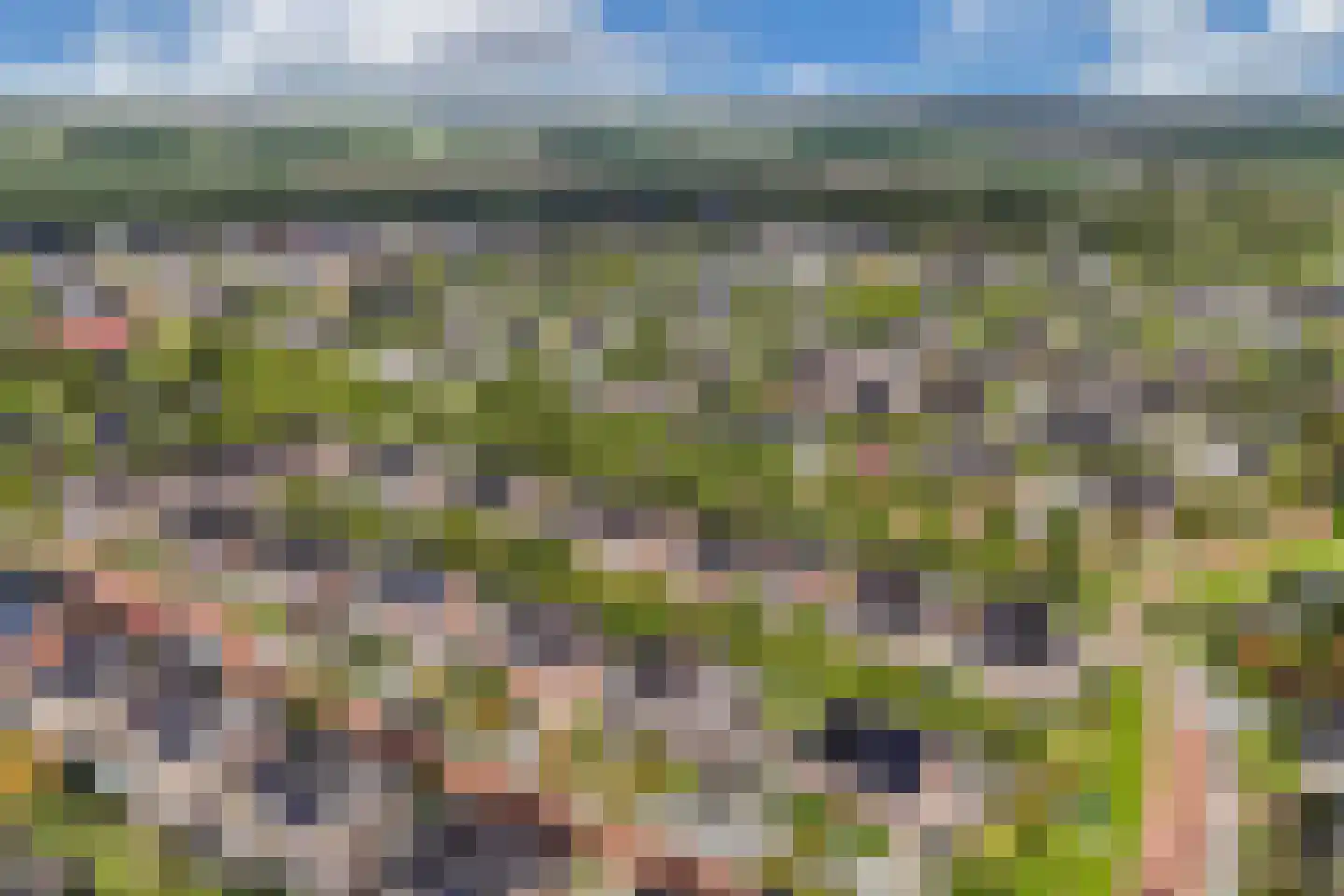 Pasteurhage 15 Emmeloord thumbnail 6