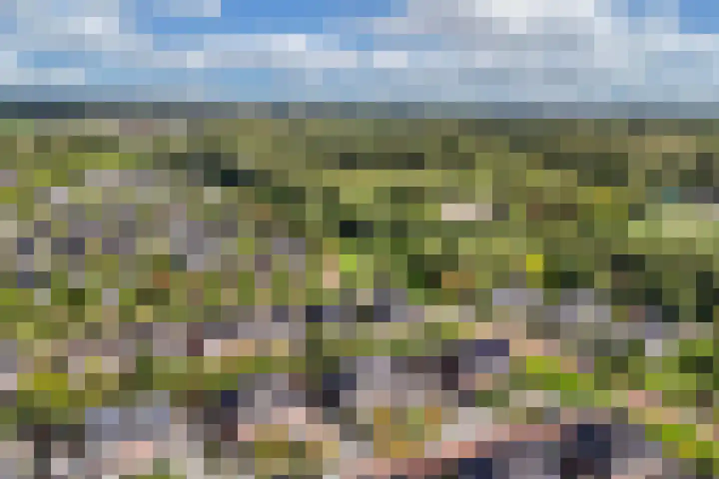 Pasteurhage 15 Emmeloord thumbnail 7