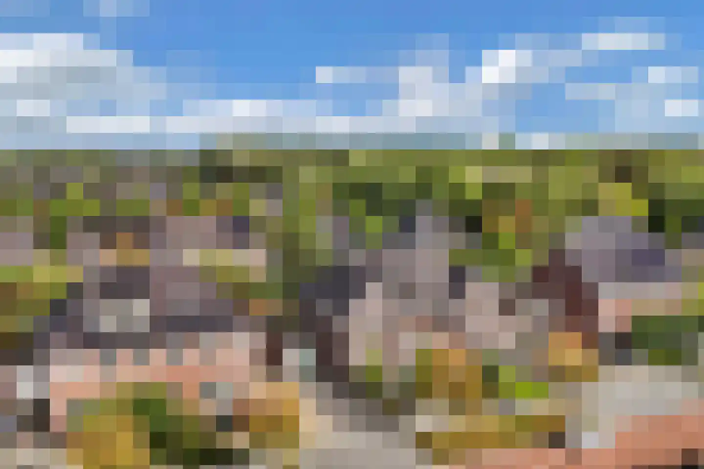 Pasteurhage 15 Emmeloord thumbnail 8