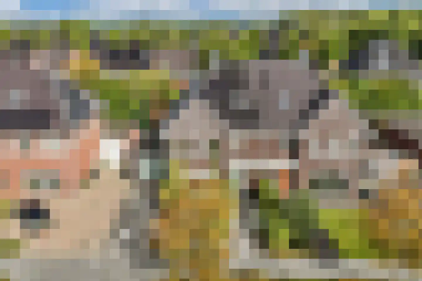 Pasteurhage 15 Emmeloord thumbnail 9