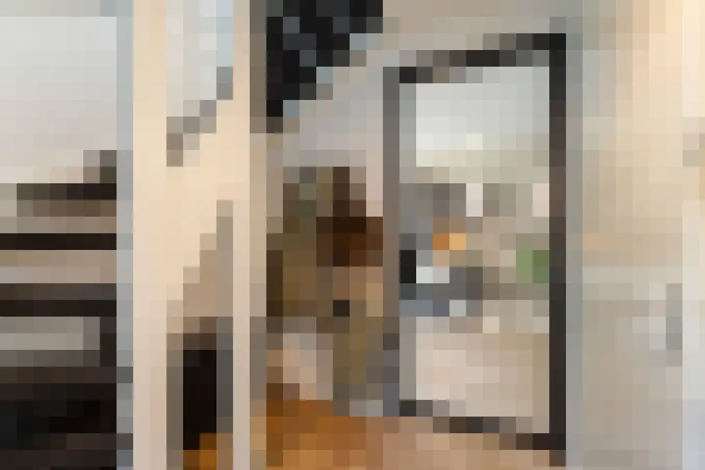 Pasteurhage 22 Emmeloord thumbnail 13