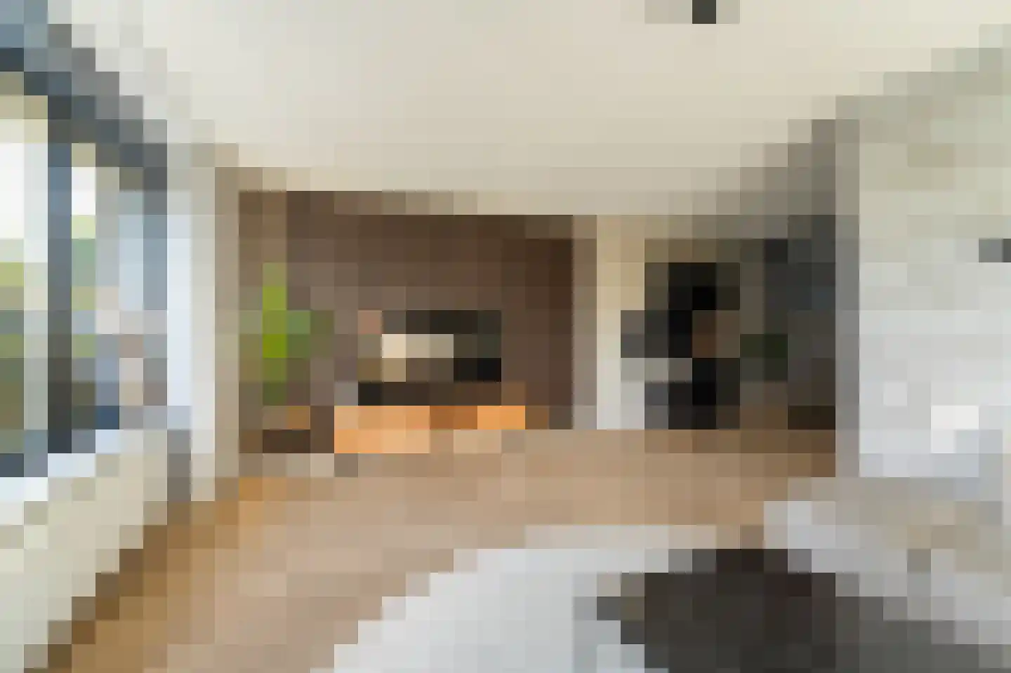 Pasteurhage 22 Emmeloord thumbnail 18