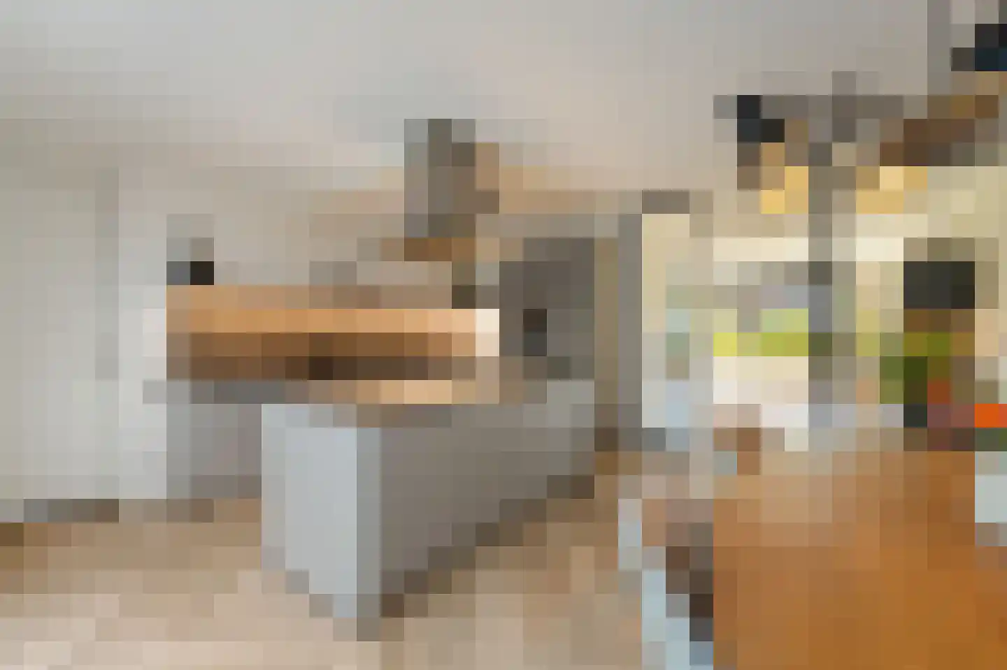 Pasteurhage 22 Emmeloord thumbnail 21