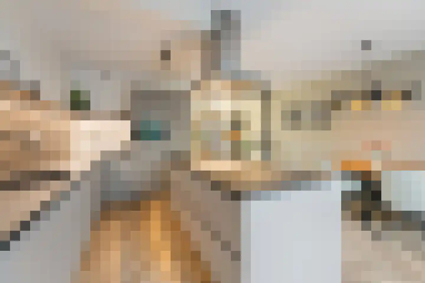 Pasteurhage 22 Emmeloord thumbnail 23