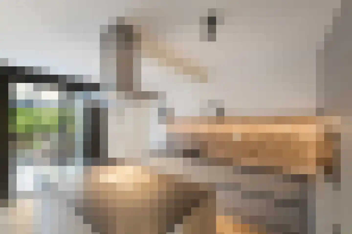 Pasteurhage 22 Emmeloord thumbnail 24