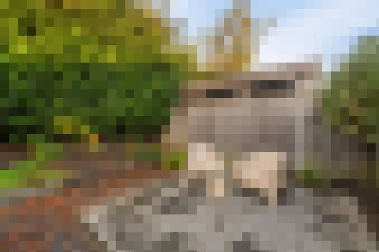 Pasteurhage 22 Emmeloord thumbnail 28