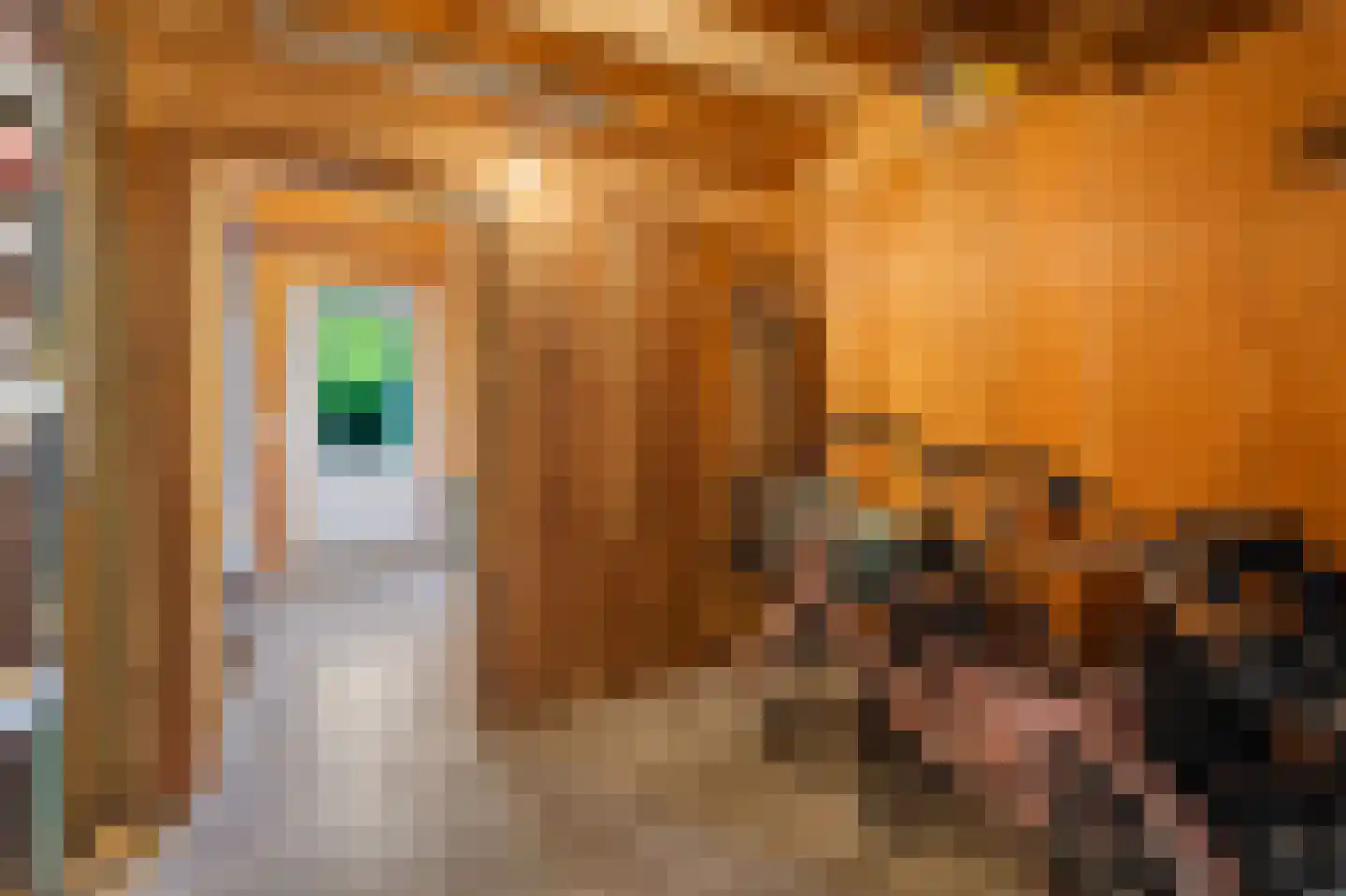 Pasteurhage 22 Emmeloord thumbnail 34