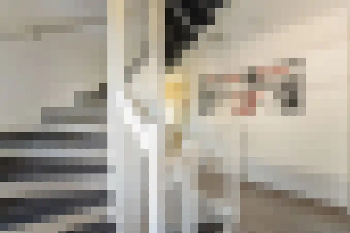 Pasteurhage 22 Emmeloord thumbnail 35